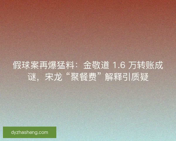 假球案再爆猛料：金敬道 1.6 万转账成谜，宋龙 “聚餐费” 解释引质疑