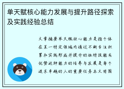 单天赋核心能力发展与提升路径探索及实践经验总结